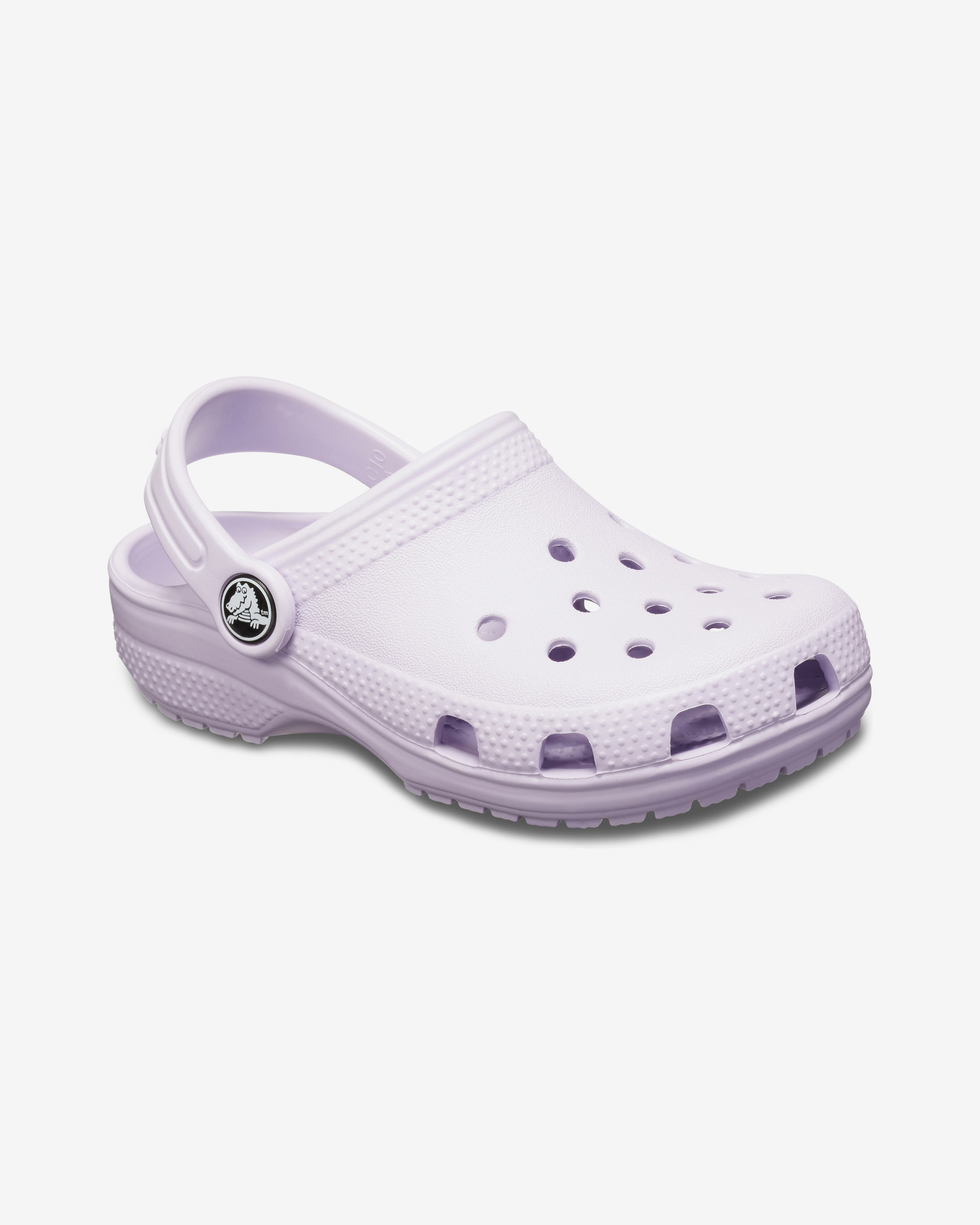 Obrázok Classic Crocs Crocs | Fialová | Pánske | 43-44